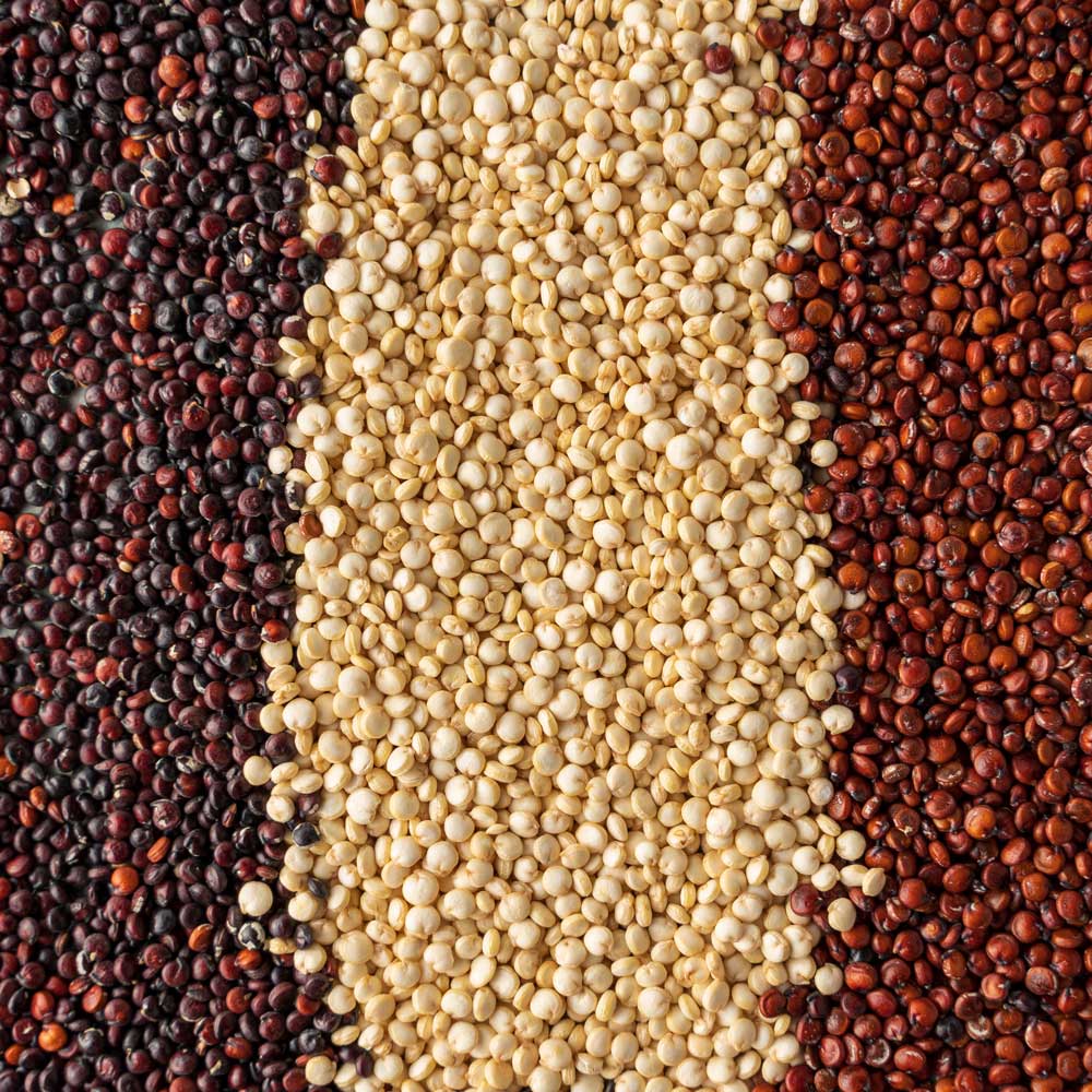 15-Black,-White-and-Red-Quinoa
